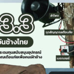 13 มีนาคม วันช้างไทย ร่วมสนับสนุนอุปกรณ์เตือนภัยเพื่อคนเฝ้าช้าง