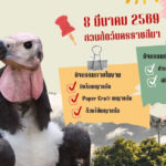 1 ทศวรรษพญาแร้งคืนถิ่น 8 มีนาคม 2569