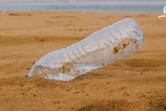 การแยกพลาสติก จุดเริ่มต้นเล็กๆ ของระบบจัดการขยะ ที่อาจเปลี่ยนสมการคาร์บอนของโลก