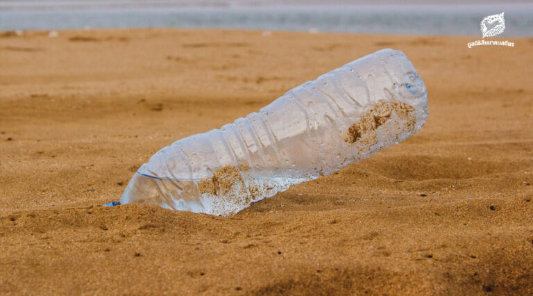 การแยกพลาสติก จุดเริ่มต้นเล็กๆ ของระบบจัดการขยะ ที่อาจเปลี่ยนสมการคาร์บอนของโลก