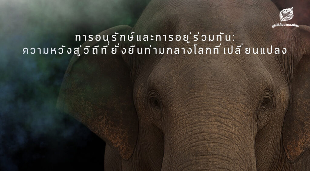 วันช้างไทย 2569 การอนุรักษ์และการอยู่ร่วมกัน ความหวังสู่วิถีที่ยั่งยืนท่ามกลางโลกที่เปลี่ยนแปลง