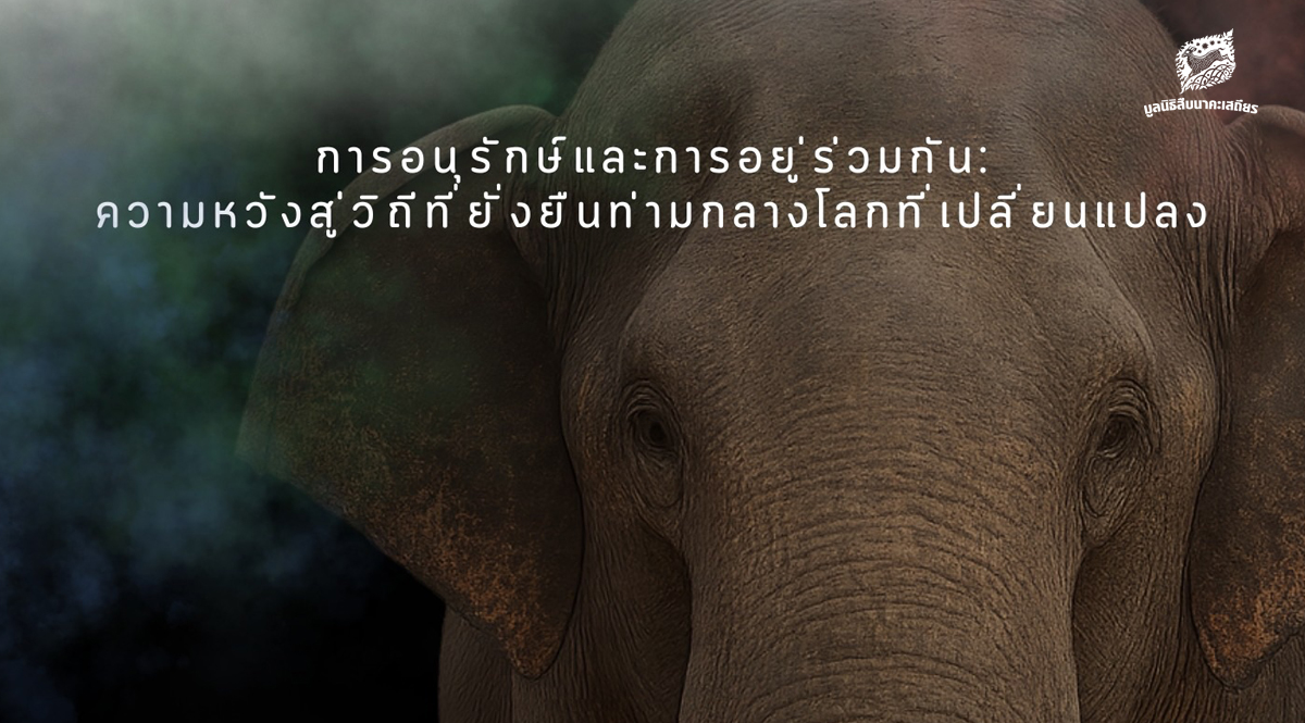 วันช้างไทย 2569 การอนุรักษ์และการอยู่ร่วมกัน ความหวังสู่วิถีที่ยั่งยืนท่ามกลางโลกที่เปลี่ยนแปลง