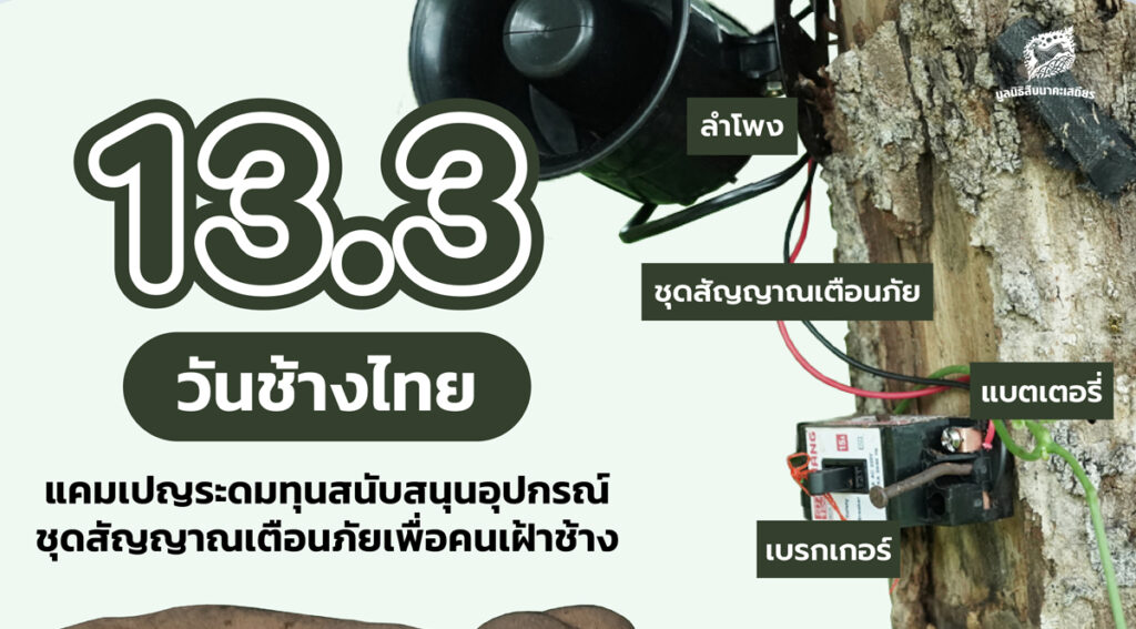 13 มีนาคม วันช้างไทย ร่วมสนับสนุนอุปกรณ์เตือนภัยเพื่อคนเฝ้าช้าง