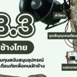 13 มีนาคม วันช้างไทย ร่วมสนับสนุนอุปกรณ์เตือนภัยเพื่อคนเฝ้าช้าง