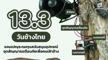 13 มีนาคม วันช้างไทย ร่วมสนับสนุนอุปกรณ์เตือนภัยเพื่อคนเฝ้าช้าง
