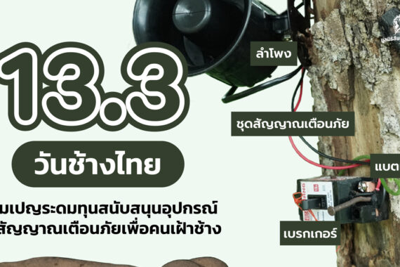 13 มีนาคม วันช้างไทย ร่วมสนับสนุนอุปกรณ์เตือนภัยเพื่อคนเฝ้าช้าง