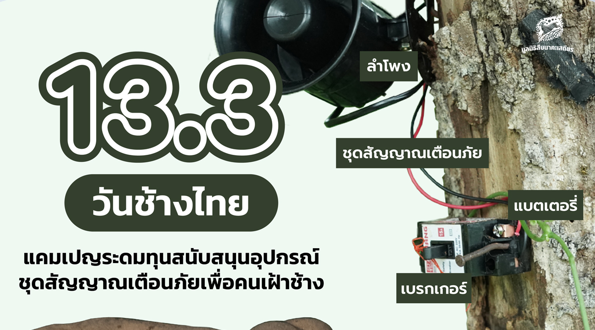 13 มีนาคม วันช้างไทย ร่วมสนับสนุนอุปกรณ์เตือนภัยเพื่อคนเฝ้าช้าง