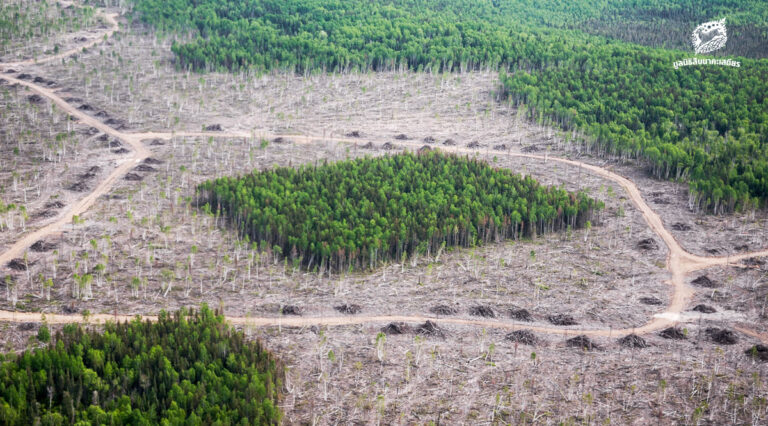 จากผืนป่าที่เชื่อมต่อกัน สู่หย่อมป่าที่โดดเดี่ยว การเปลี่ยนแปลงเล็กๆ ของพื้นที่ ที่นำไปสู่การสูญเสียชีวิตทั้งระบบ