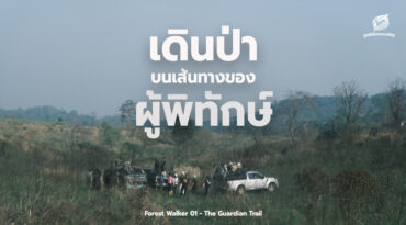 เดินป่า บนเส้นทางของ ผู้พิทักษ์ Forest Walker 01 - The Guardian Trail 