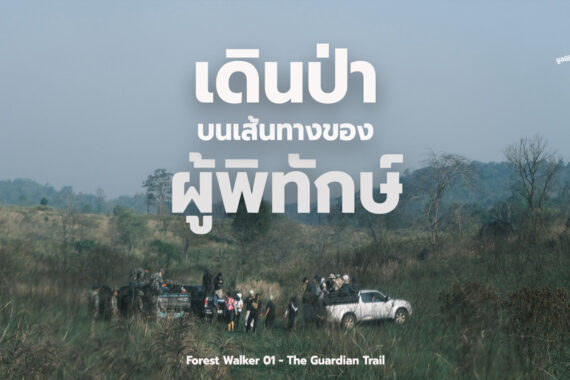 เดินป่า บนเส้นทางของ ผู้พิทักษ์ Forest Walker 01 – The Guardian Trail 