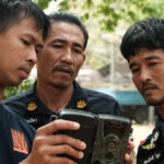 กล้องดักถ่ายภาพสัตว์ป่า ดวงตาแห่งพงไพร (ตอนที่ 3 งานอนุรักษ์ในประเทศไทย)