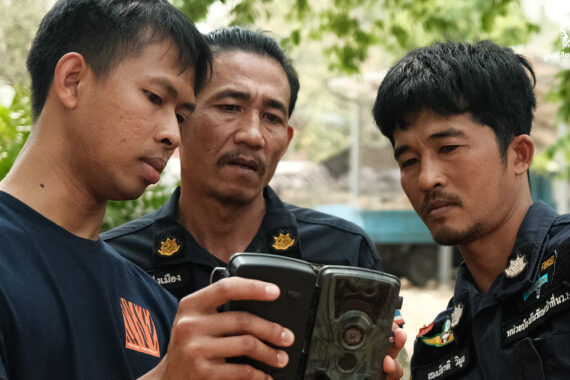 กล้องดักถ่ายภาพสัตว์ป่า ดวงตาแห่งพงไพร (ตอนที่ 3 งานอนุรักษ์ในประเทศไทย)