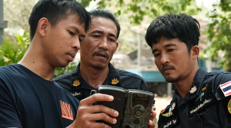กล้องดักถ่ายภาพสัตว์ป่า ดวงตาแห่งพงไพร (ตอนที่ 3 งานอนุรักษ์ในประเทศไทย)