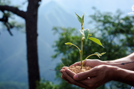 ทำไมถึงควรปรับปรุงพระราชบัญญัติส่งเสริมและรักษาคุณภาพสิ่งแวดล้อมแห่งชาติ และกฎหมายที่เกี่ยวเนื่อง