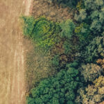 10 ปัจจัยที่อาจเปลี่ยนแปลงอนาคตของป่าไม้ทั่วโลก