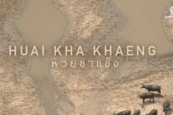 หนังสือ 50 ปี เขตรักษาพันธุ์สัตว์ป่าห้วยขาแข้ง ประวัติศาสตร์สู่อนาคต