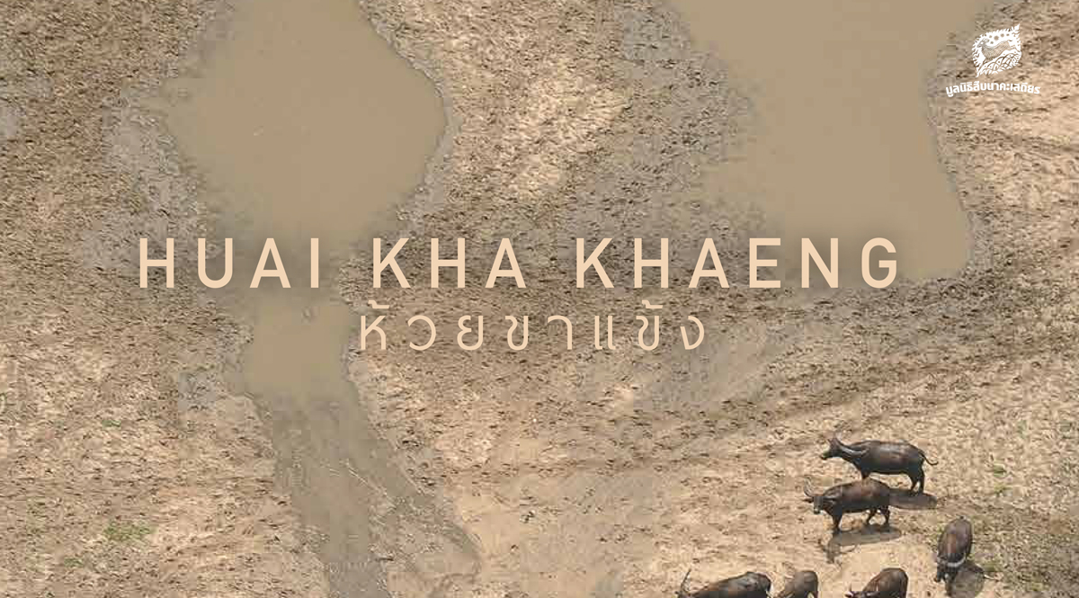 หนังสือ 50 ปี เขตรักษาพันธุ์สัตว์ป่าห้วยขาแข้ง ประวัติศาสตร์สู่อนาคต