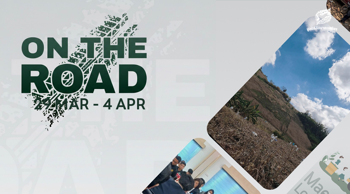 On the Road 29 มีนาคม – 4 เมษายน 2569
