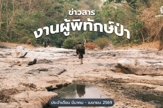 ข่าวสารงานผู้พิทักษ์ป่า ประจำเดือนมีนาคม – เมษายน 2569