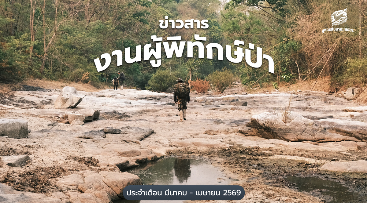 ข่าวสารงานผู้พิทักษ์ป่า ประจำเดือนมีนาคม – เมษายน 2569