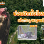 โครงการระดมทุนติดตั้งระบบพลังงานแสงอาทิตย์ เพื่อฟื้นฟู ‘พญาแร้ง’ สัตว์ป่าใกล้สูญพันธุ์ของประเทศไทย