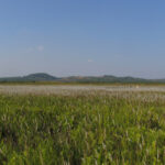 เสวนา เวียงหนองหล่ม ความสำคัญของพื้นที่ชุ่มน้ำ