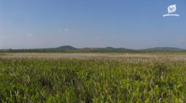 เสวนา เวียงหนองหล่ม ความสำคัญของพื้นที่ชุ่มน้ำ