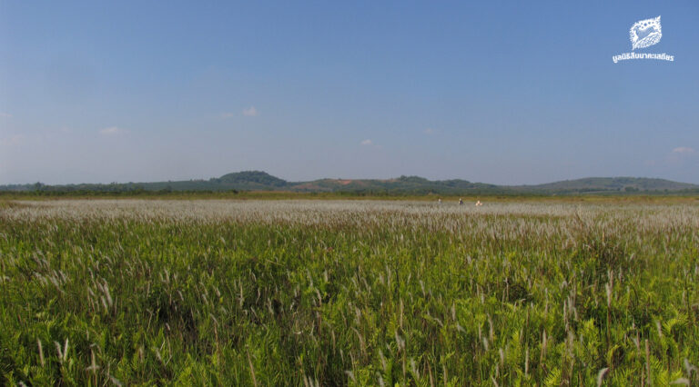 เสวนา เวียงหนองหล่ม ความสำคัญของพื้นที่ชุ่มน้ำ