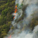 เกือบ 90% ของพื้นที่มรดกโลก กำลังเผชิญความเสี่ยงทางสิ่งแวดล้อมในระดับสูง