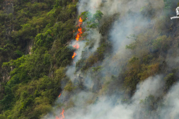 เกือบ 90% ของพื้นที่มรดกโลก กำลังเผชิญความเสี่ยงทางสิ่งแวดล้อมในระดับสูง