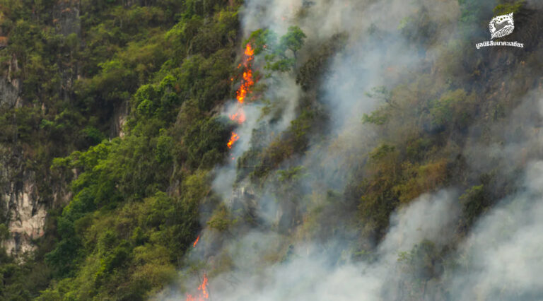 เกือบ 90% ของพื้นที่มรดกโลก กำลังเผชิญความเสี่ยงทางสิ่งแวดล้อมในระดับสูง