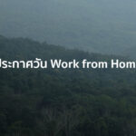 ประกาศ Work from Home และช่องทางการติดต่อมูลนิธิสืบนาคะเสถียร