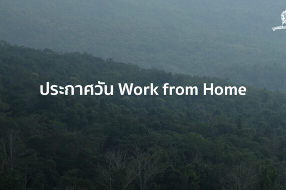 ประกาศ Work from Home และช่องทางการติดต่อมูลนิธิสืบนาคะเสถียร