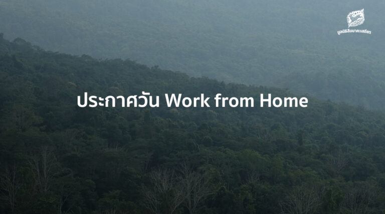 ประกาศ Work from Home และช่องทางการติดต่อมูลนิธิสืบนาคะเสถียร