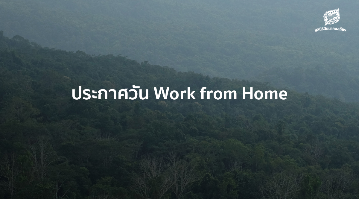 ประกาศ Work from Home และช่องทางการติดต่อมูลนิธิสืบนาคะเสถียร
