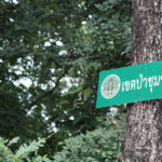 ข้อเสนอในการปรับปรุงนโยบายป่าชุมชน ประจำปี 2568 นำเสนอโดยเครือข่ายป่าไม้ภาคพลเมือง