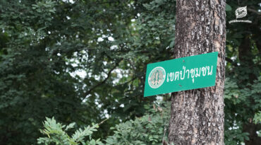 ข้อเสนอในการปรับปรุงนโยบายป่าชุมชน ประจำปี 2568 นำเสนอโดยเครือข่ายป่าไม้ภาคพลเมือง