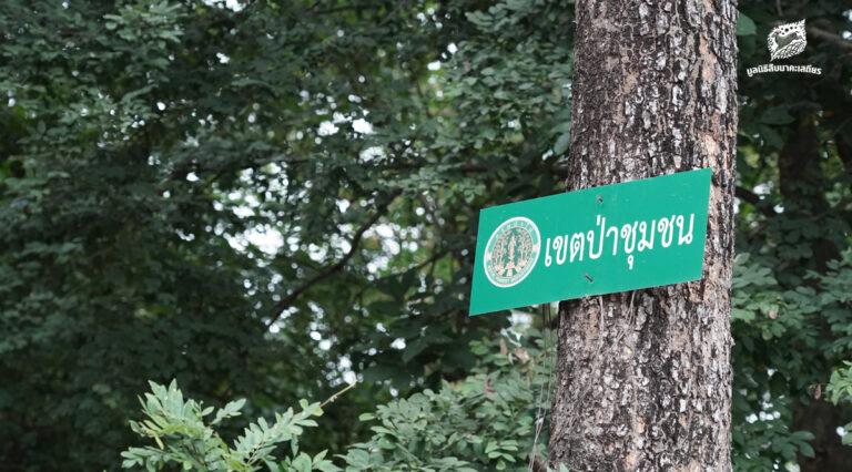 ข้อเสนอในการปรับปรุงนโยบายป่าชุมชน ประจำปี 2568 นำเสนอโดยเครือข่ายป่าไม้ภาคพลเมือง