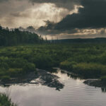 ระบบนิเวศที่กำลังจะหายไป ทำไมประเทศไทยต้องมี พ.ร.บ.พื้นที่ชุ่มน้ำ