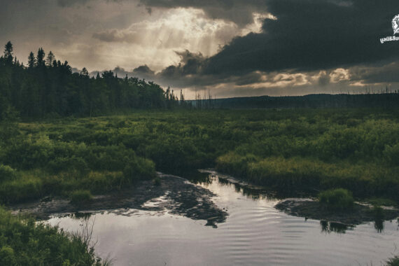 ระบบนิเวศที่กำลังจะหายไป ทำไมประเทศไทยต้องมี พ.ร.บ.พื้นที่ชุ่มน้ำ