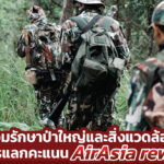 ร่วมรักษาป่าใหญ่และสิ่งแวดล้อมผ่านการแลกคะแนน AirAsia rewards