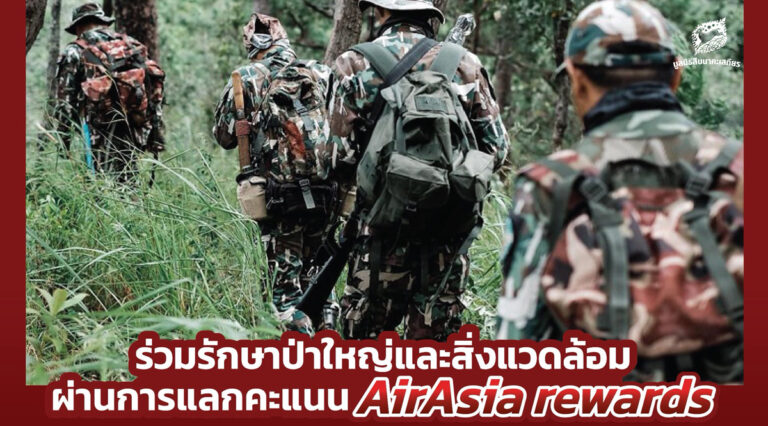 ร่วมรักษาป่าใหญ่และสิ่งแวดล้อมผ่านการแลกคะแนน AirAsia rewards