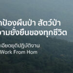 แจ้งรายละเอียดยุติปฏิบัติงานในรูปแบบ Work From Home