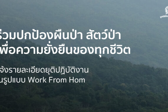 แจ้งรายละเอียดยุติปฏิบัติงานในรูปแบบ Work From Home