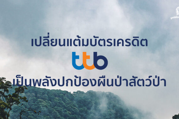 ร่วมปกป้องผืนป่าสัตว์ป่า ผ่าน ttb rewards plus