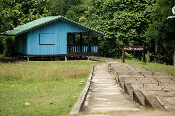 บ้านที่รอเรากลับ — รำลึก 36 ปี สืบ นาคะเสถียร