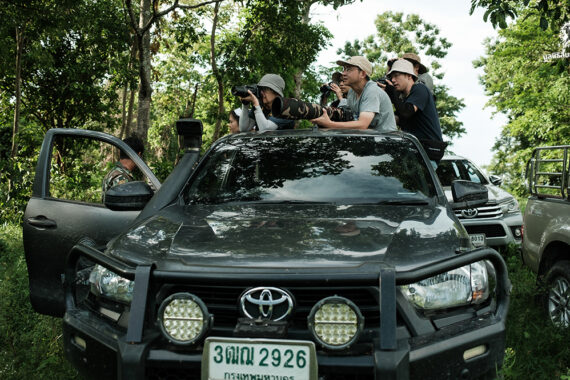 ทริปดูสัตว์ป่ากลางใจห้วยขาแข้ง ตามรอย “พญาแร้งคืนถิ่น”