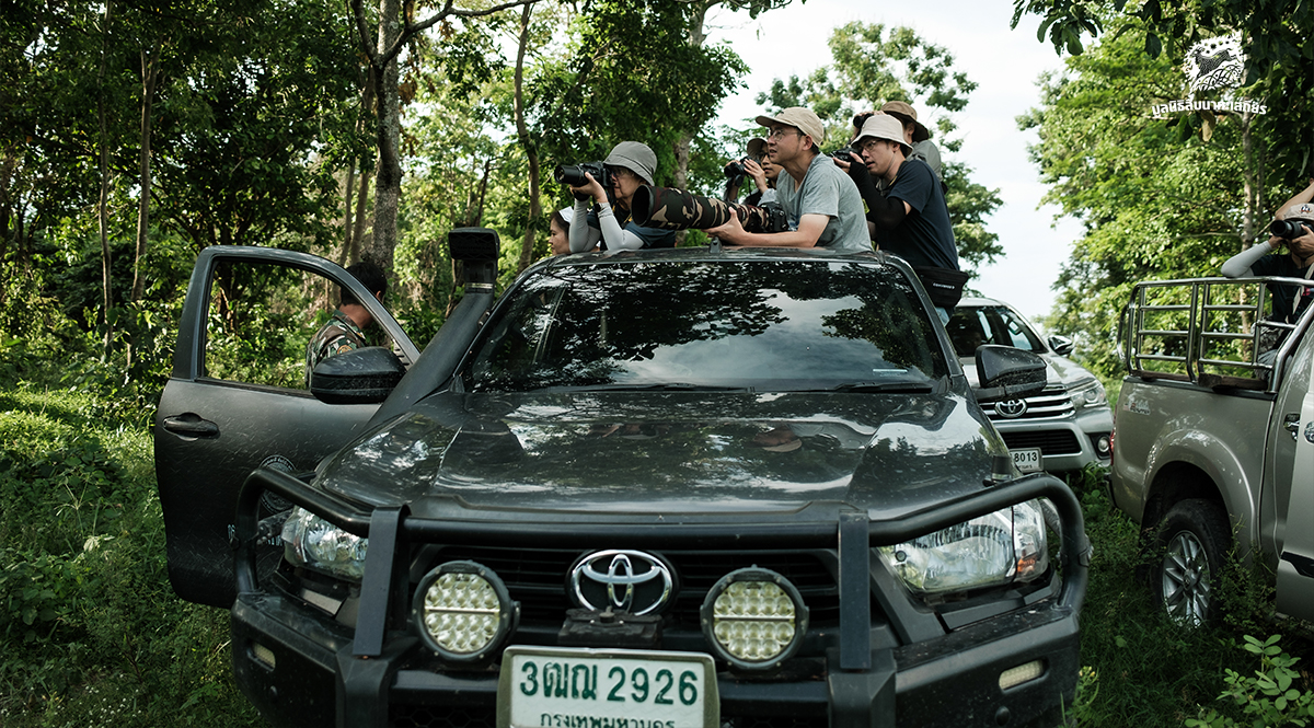 ทริปดูสัตว์ป่ากลางใจห้วยขาแข้ง ตามรอย “พญาแร้งคืนถิ่น”