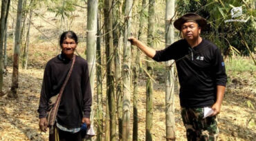 ไผ่หนึ่งกอ จุดเริ่มต้นของเศรษฐกิจชุมชนในแนวเชื่อมต่อป่าตะวันตก
