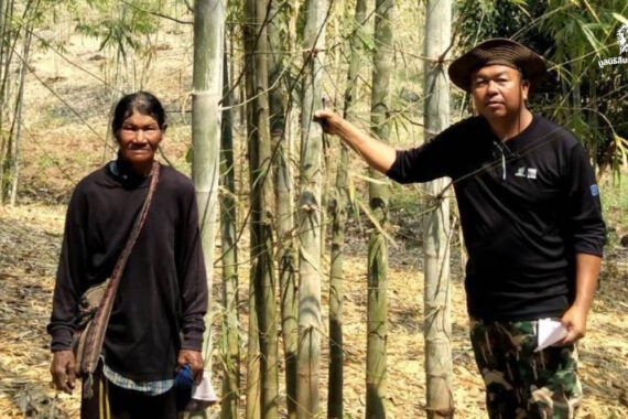 ไผ่หนึ่งกอ จุดเริ่มต้นของเศรษฐกิจชุมชนในแนวเชื่อมต่อป่าตะวันตก